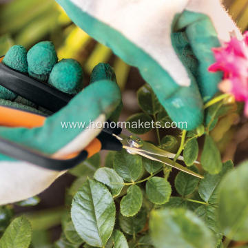 Bonsai Scissors For Arranging Flowers, Trimming Plants, For Grow Room or Gardening